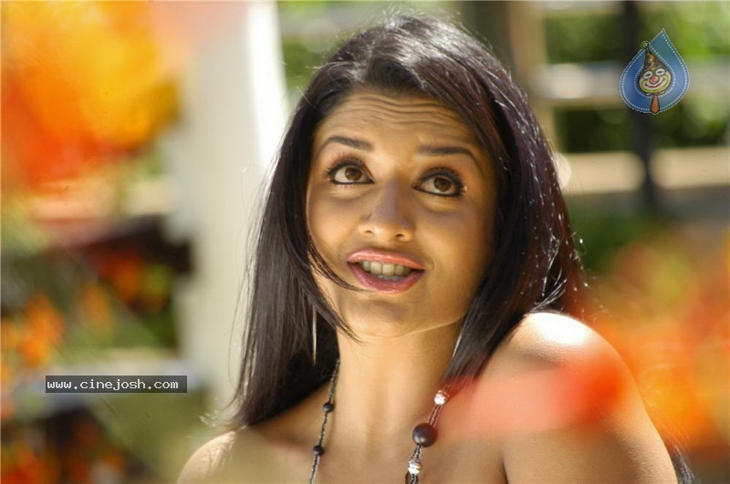 Vimala Raman (Exclusive CineJosh) - 14 / 82 photos