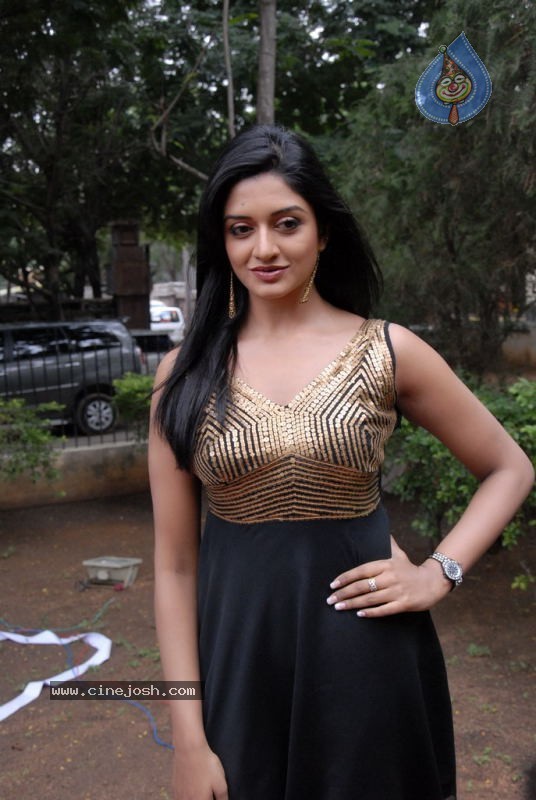 Vimala Raman Stills - 29 / 36 photos