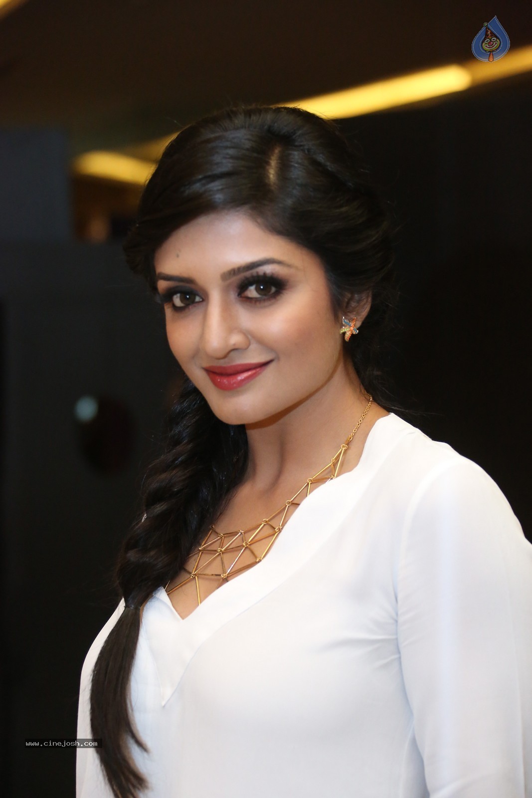 Vimala Raman Stills - 101 / 112 photos