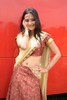 Aditi Sharma - 104 of 91