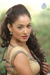 Agnes Sonkar Hot Stills - 82 of 152