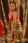 Agnesha Spicy Gallery - 50 of 59