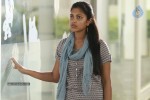 Amala Paul Latest Photos - 93 of 98