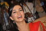 Amy Jackson New Stills - 40 of 45