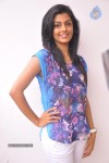 Anisha Ambrose Stills - 40 of 62