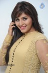 Anjali New Photos - 50 of 95