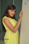 Anjana Deshpande Stills - 57 of 69