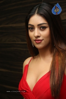 Anu Emmanuel New Photos - 3 of 21