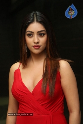 Anu Emmanuel New Photos - 5 of 21