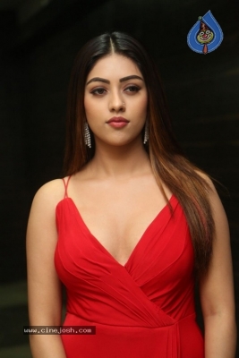 Anu Emmanuel New Photos - 7 of 21