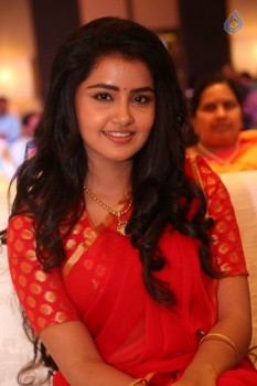 Anupama Parameswaran New Pics - 60 of 60