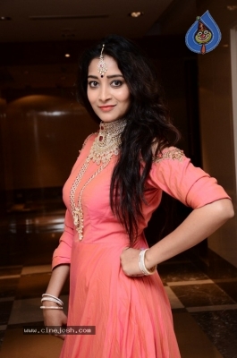 Bhanu Sri Latest Pics - 13 of 26