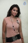 Bhanu Sri New Stills - 70 of 83