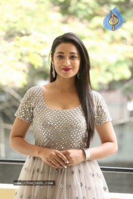 Bhanu Sri Stills - 4 of 17