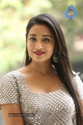 Bhanu Sri Stills - 6 of 17