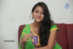 Bhanu Sri Stills - 75 of 100