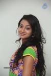 Bhanu Sri Stills - 56 of 100