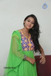 Bhanu Sri Stills - 58 of 100