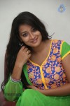 Bhanu Sri Stills - 64 of 100