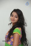 Bhanu Sri Stills - 69 of 100