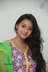 Bhanu Sri Stills - 70 of 100