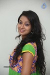 Bhanu Sri Stills - 71 of 100