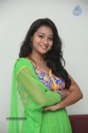 Bhanu Sri Stills - 75 of 100