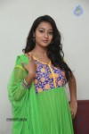 Bhanu Sri Stills - 78 of 100