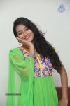 Bhanu Sri Stills - 79 of 100