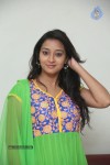 Bhanu Sri Stills - 82 of 100