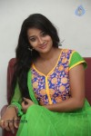 Bhanu Sri Stills - 89 of 100