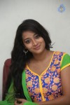 Bhanu Sri Stills - 91 of 100