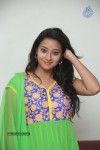 Bhanu Sri Stills - 94 of 100