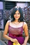 Bindu Madhavi Stills - 53 of 78