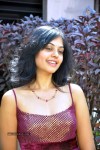 Bindu Madhavi Stills - 58 of 78