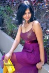 Bindu Madhavi Stills - 66 of 78