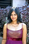 Bindu Madhavi Stills - 73 of 78