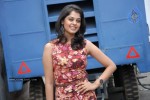 Bindu Madhavi Latest Photos - 49 of 52