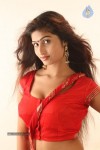 Charulatha Hot Stills - 46 of 79