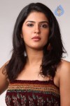 Deeksha Seth New Photos - 46 of 46