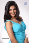 Deeksha Seth New Photos - 34 of 34