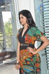 Deeksha Seth Photos - 30 of 57