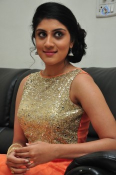 Dhanya Balakrishna New Images - 19 of 28