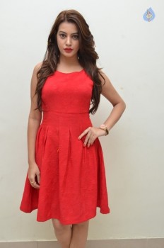 Diksha Panth Pics - 18 of 20