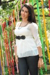 Gayatri Iyer New Stills - 66 of 66