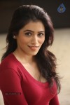 Ghazal Somaiah New Stills - 100 of 188