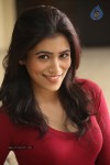 Ghazal Somaiah New Stills - 177 of 188