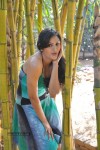 Gowri Sharma Hot Stills - 64 of 79