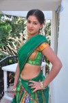 Greeshma Hot Stills - 29 of 111