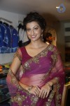 Hamsa Nandini Hot Stills - 80 of 152